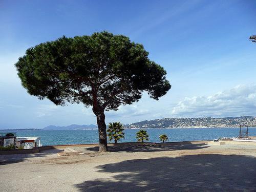 Appartement De Charme Coeur De Juan & Plages Αντίμπ Εξωτερικό φωτογραφία
